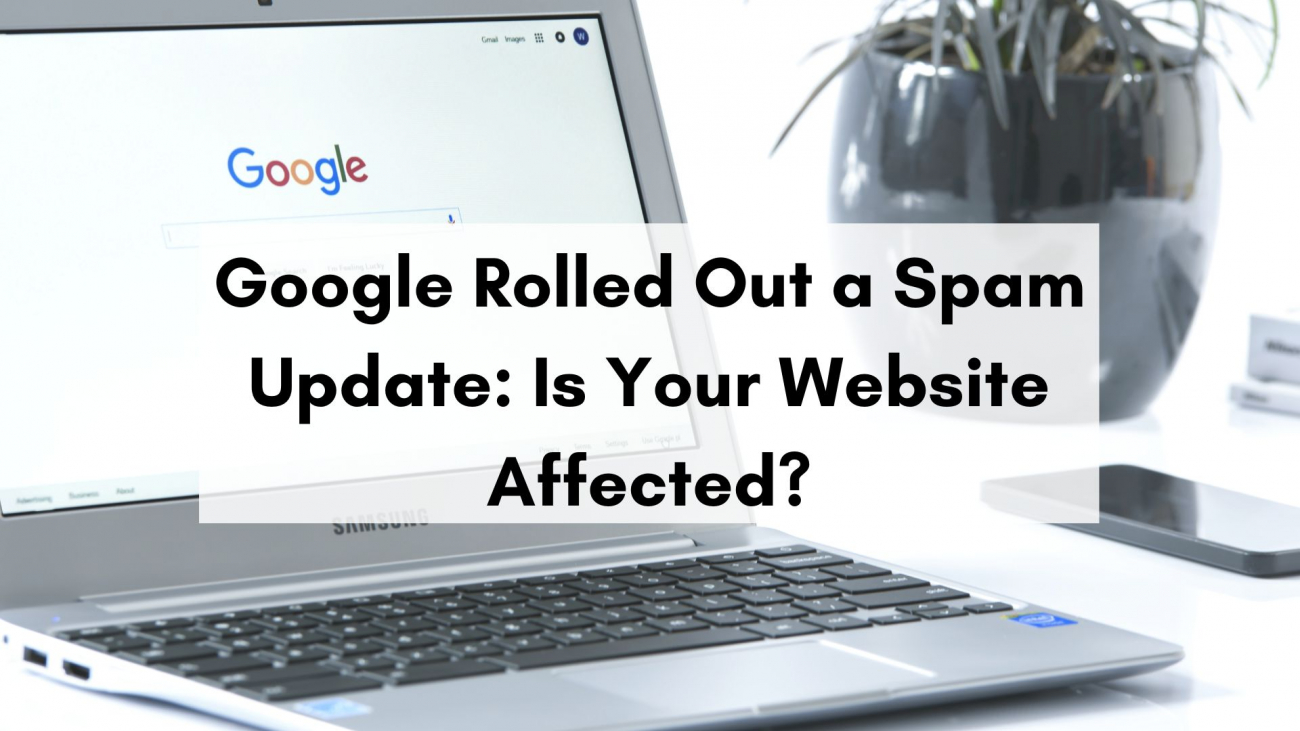 Google Rolled Out a Spam Update: Is Your Website Affected?