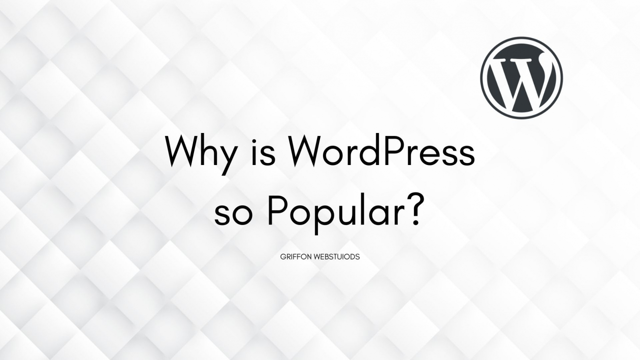 Why is WordPress so Popular?