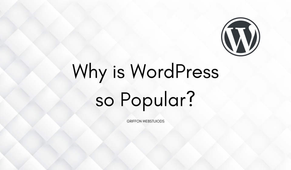 Why is WordPress so Popular?
