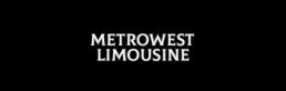 Logo on portfolio page-metrowest