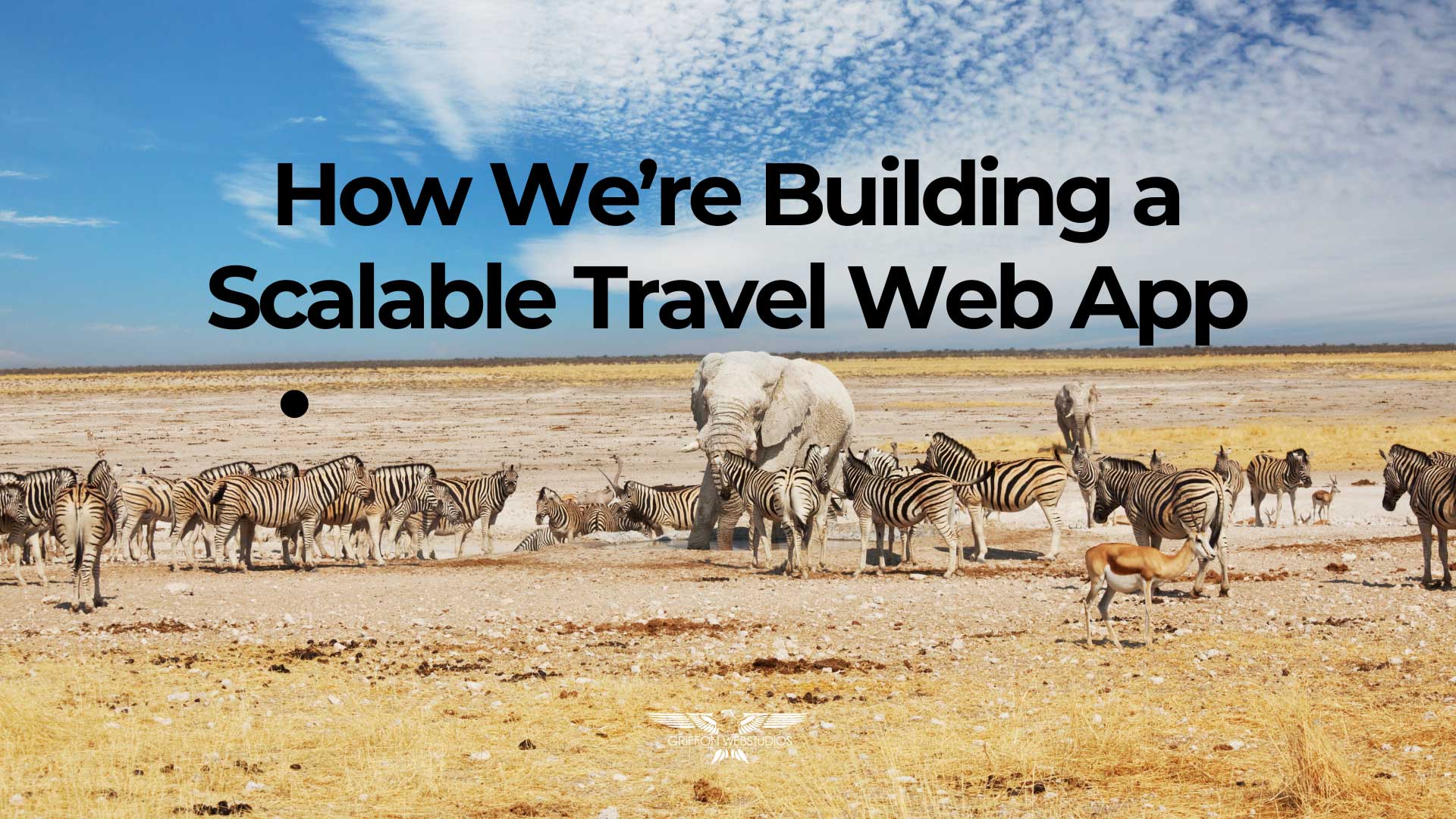 Website Development Services Creating High-Performance and Conversion-Focused Websites